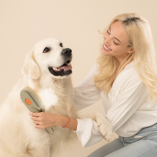 Dog Steam Brush – Deep Cleaning & Gentle Grooming