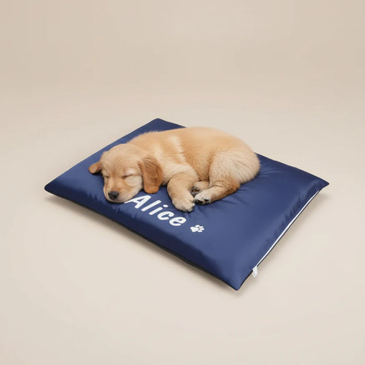 Dog Cushion – Personalised Comfort with Your Dog’s Name
