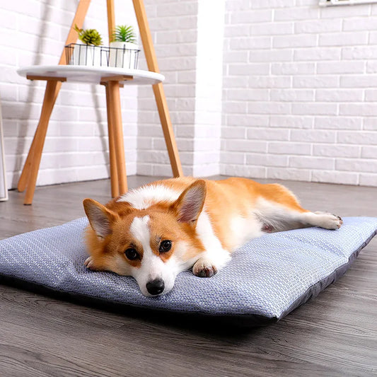 Dog Cooling Cushion – Comfortable Cooling Relief