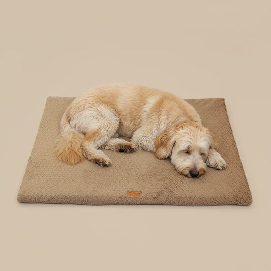 Dog Cushion – Luxury Orthopaedic Comfort & Stylish Design