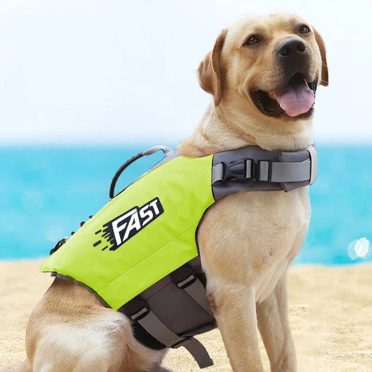 Dog Life Jacket – Safe & Comfortable for Water Adventures