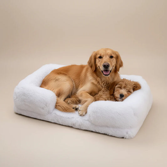Dog Bed Orthopaedic Soft – Warm, Supportive & Washable