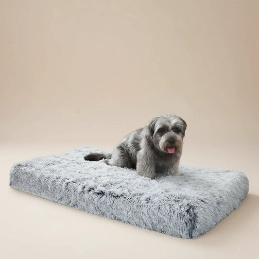 Dog Bed Plush – Soft, Secure & Supportive